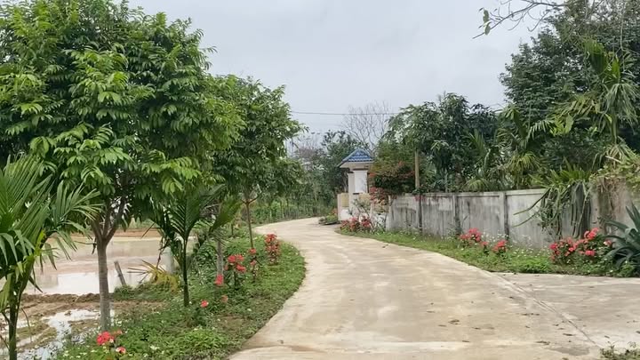 Đất nền Xóm Yên Tân, Xã Giang Sơn Đông, 512m² - Cơ hội đầu tư sinh lời!