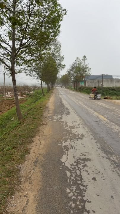 Đất nền Phường Láng Thượng, Quận Đống Đa 160m² - Đầu tư sinh lời cao!