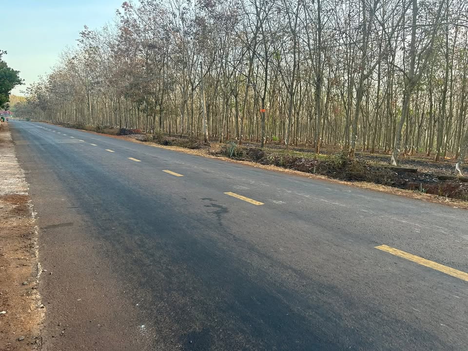 Đất nông nghiệp Lộc Thạnh 9700m² giá 2.5 tỷ - Tiềm năng phát triển cao!