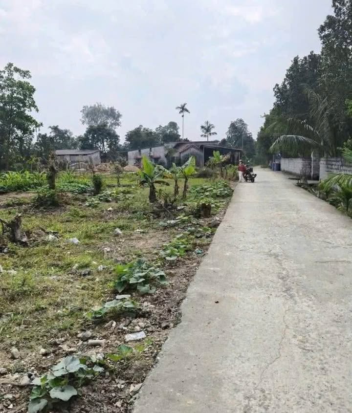 Đất nền xã Gia Lâm, Ninh Bình 138m² giá chỉ 5xxx - Cơ hội đầu tư hấp dẫn!