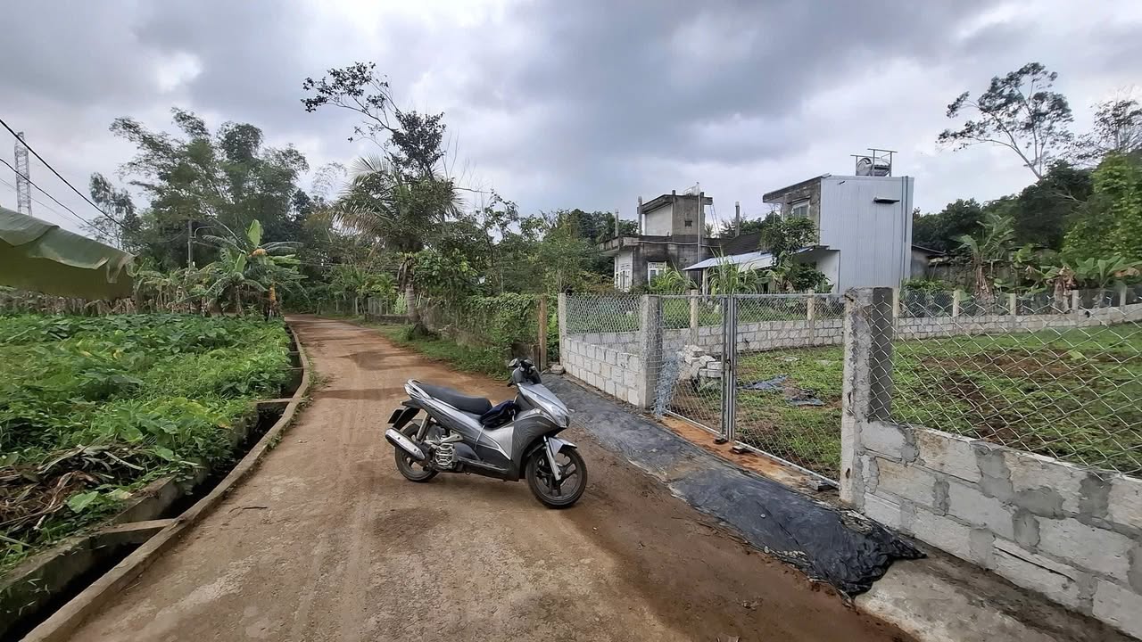 Lô nhà vườn tại Xã Hòa Nhơn, Đà Nẵng 275m² giá 1.99 tỷ - Đầu tư sinh lời hấp dẫn!