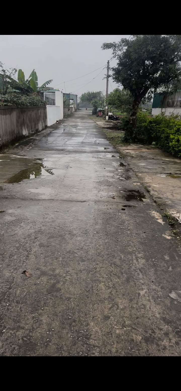 Đất nền Xuân Thành 280m² giá 2 tỷ - Tiềm năng đầu tư cao!