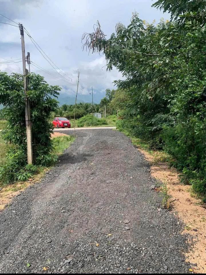 Đất trồng cây 550m² tại Vạn Phú, Khánh Hòa chỉ 335 triệu - Đường ô tô tận nơi!