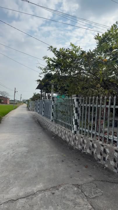 Nhà cấp 4 2 mặt tiền tại xã Đức Tân, huyện Tân Trụ - Diện tích 400m², giá chỉ 1.35 tỷ!