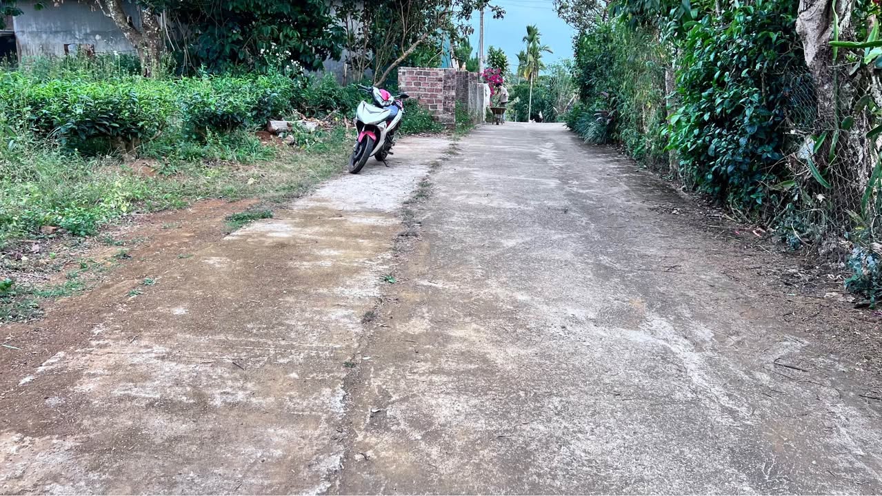 Đất nền Lộc Quảng Bảo Lâm 400m² giá 1.35 tỷ - Đầu tư sinh lời hấp dẫn!