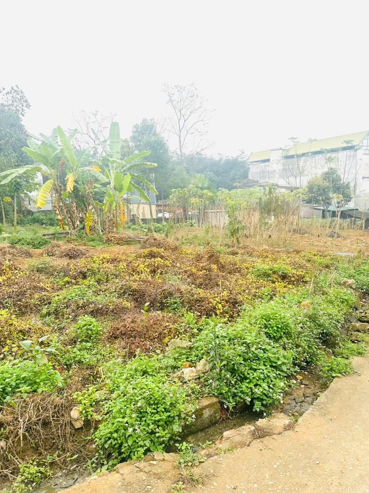 Đất nền Khu 8 - Hy Cương 90m² giá 1 tỷ - Đầu tư sinh lời ngay!