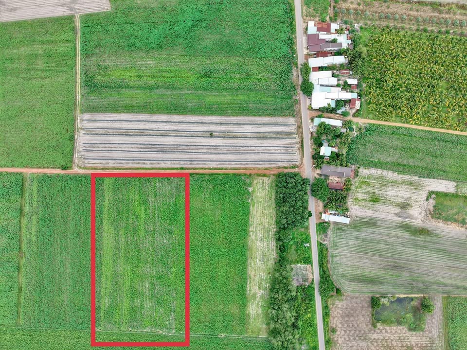 Đất nền Huyện Đức Hòa 1000m² giá 169 triệu - Đầu tư sinh lời bền vững!