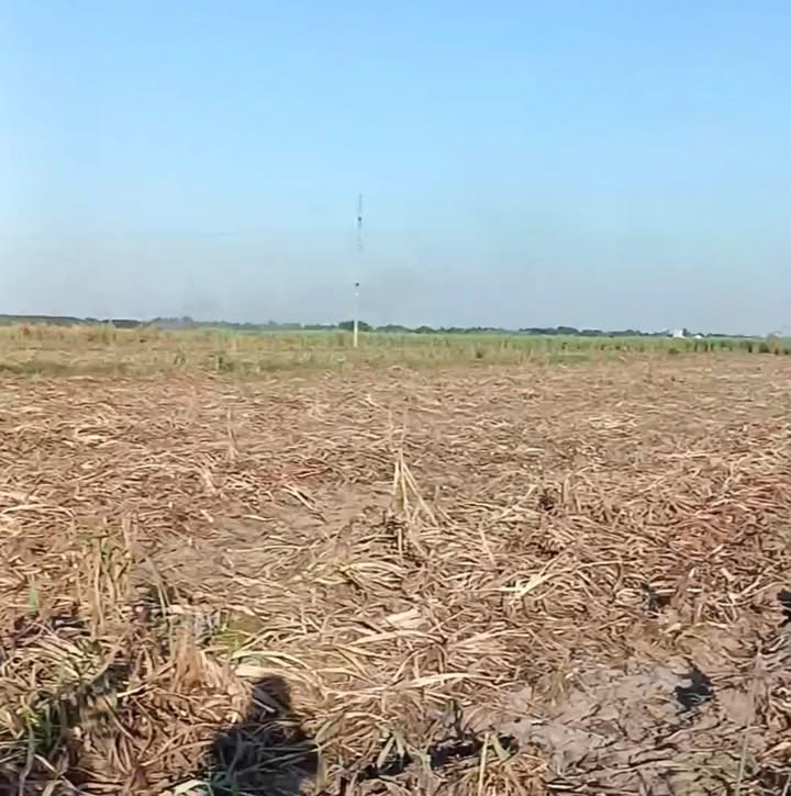 Đất nông nghiệp 6 công tại Mỏ Công, Tân Biên, Tây Ninh - Giá chỉ 350 triệu