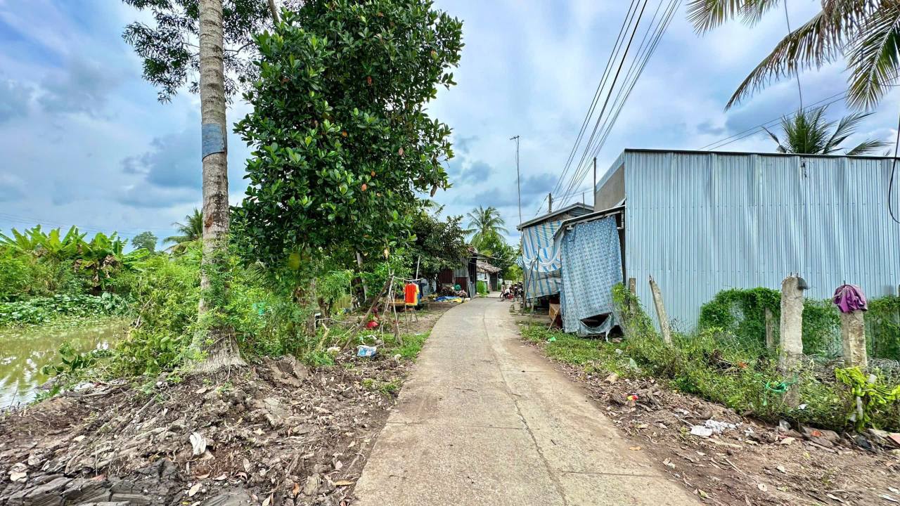 Đất nền ấp Tân Phước, xã Giục Tượng, 115m² giá 250 triệu - Cơ hội đầu tư hấp dẫn!