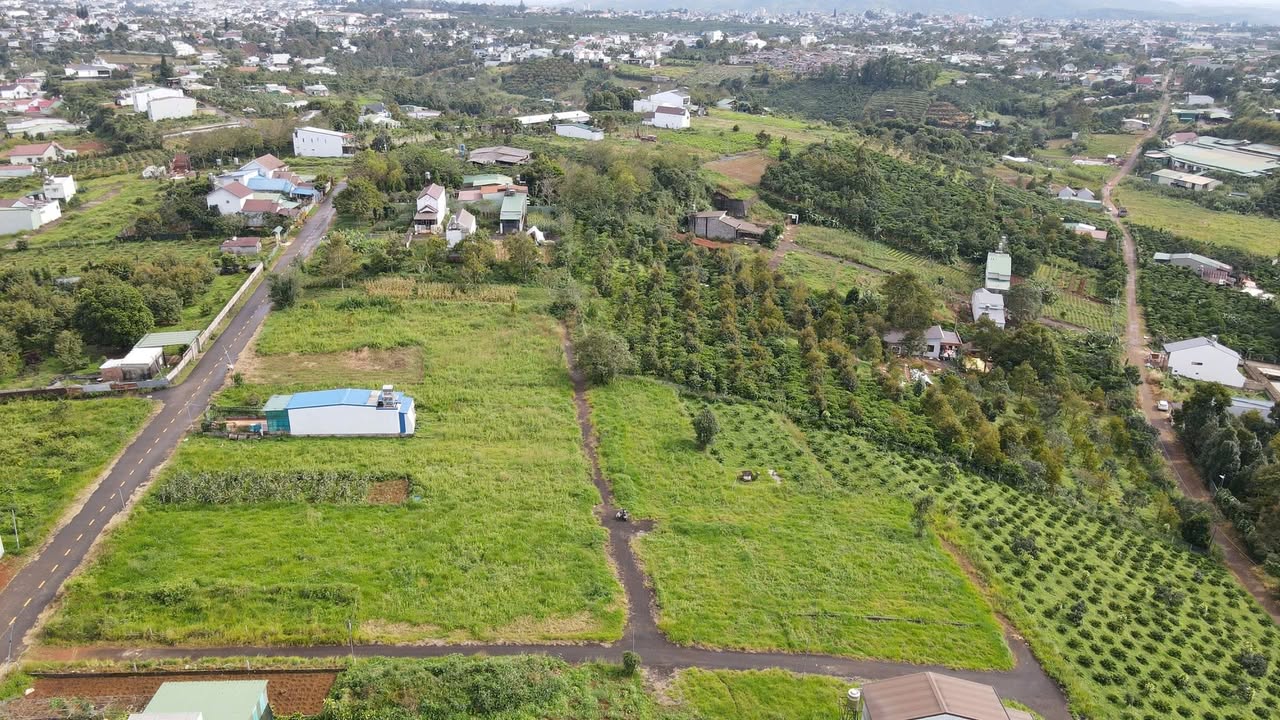 Đất nền Hẻm Nguyễn Trãi, Bảo Lộc 118m² giá 790 triệu - Cơ hội vàng đầu tư!