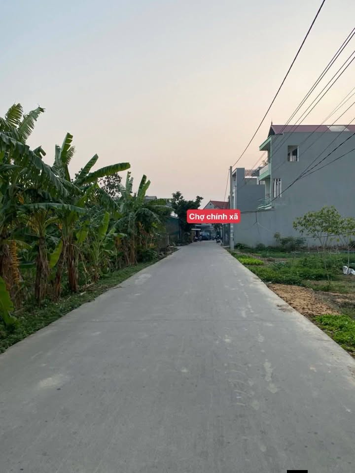 Đất giãn dân Lý Đông, 100m² giá 200 triệu - Tiềm năng đầu tư vượt trội!