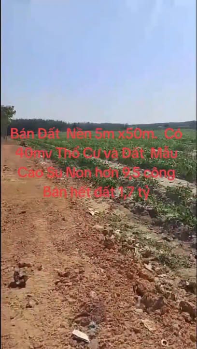 Đất nền mặt tiền Đường Đỏ, Huyện Cần Đước, 250m² giá 1.7 tỷ - Đầu tư sinh lời ngay!