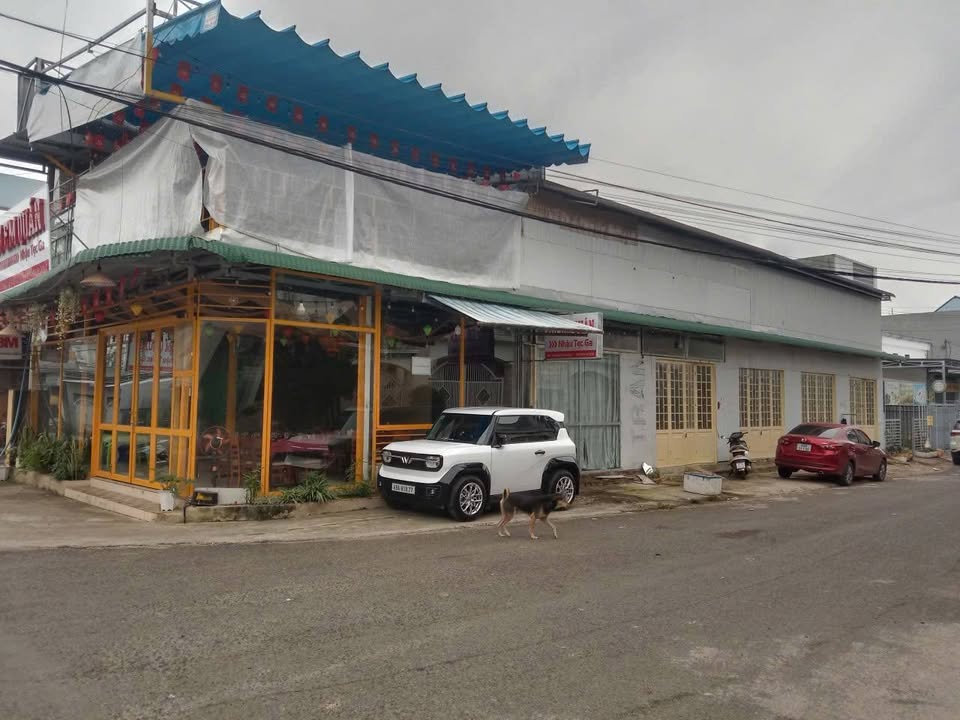 Cho thuê mặt bằng và phòng trọ tại đường Nguyễn Văn Linh, Đức Trọng - Kinh doanh ổn định!