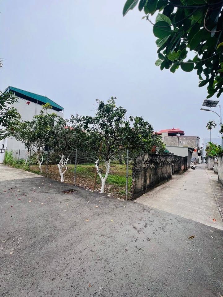 Đất nền Đan Phượng 80m² giá thỏa thuận - Đầu tư tiềm năng