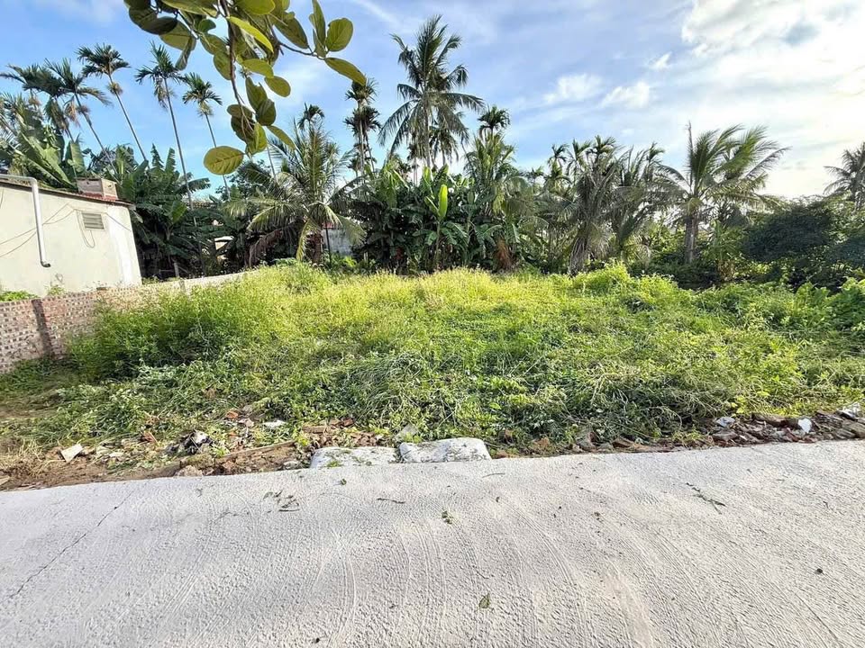 Bán lô đất tại An Toàn - Hòa Nghĩa, Dương Kinh 71.2m² - Vị trí đẹp, giá tốt!