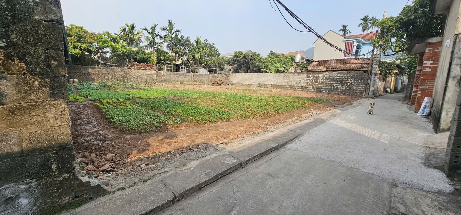Đất nền Tân Sơn Kim Bảng 100m² giá 800 triệu - Cơ hội đầu tư không thể bỏ lỡ!