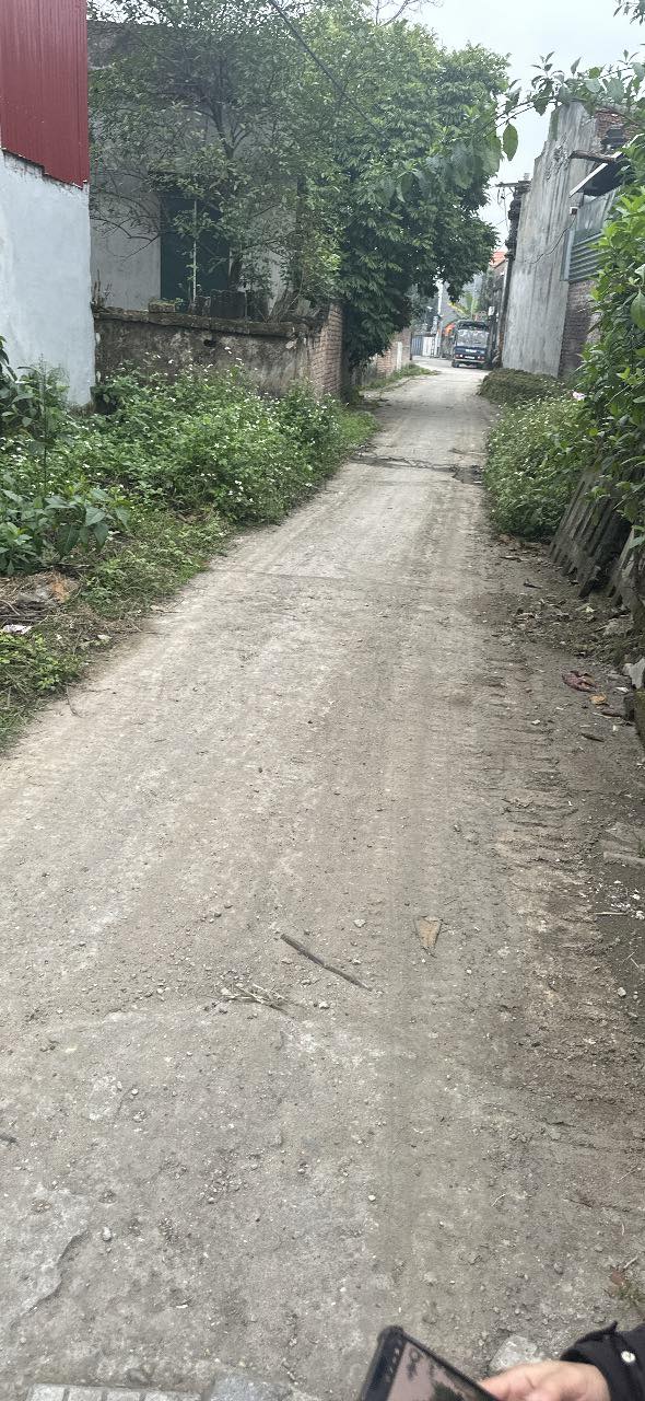 Đất nền 56m² tại Thiện Dũ, Bắc Ninh giá chỉ 1 tỷ - Vị trí đắc địa gần khu công nghiệp!