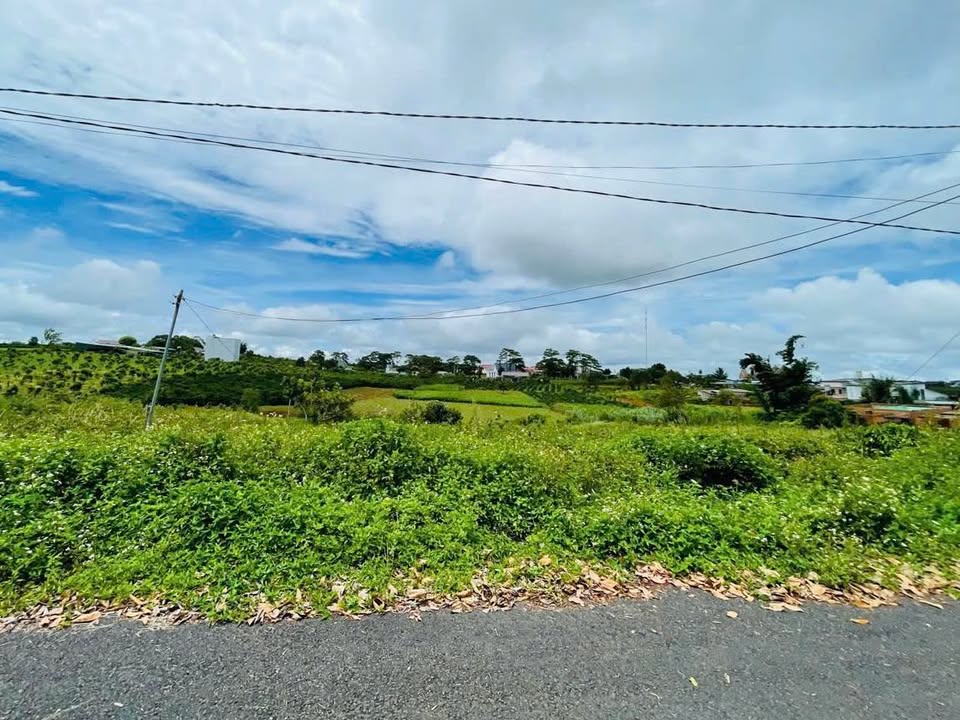 Đất nền Bảo Lộc 340m² giá 2.1 tỷ - Xây dựng tự do, tiện ích đầy đủ!