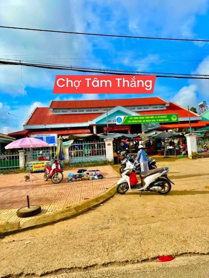 Đất nền thôn 3, Xã Tâm Thắng - Đường bê tông, 259m², giá 550 triệu - Cơ hội đầu tư tuyệt vời!