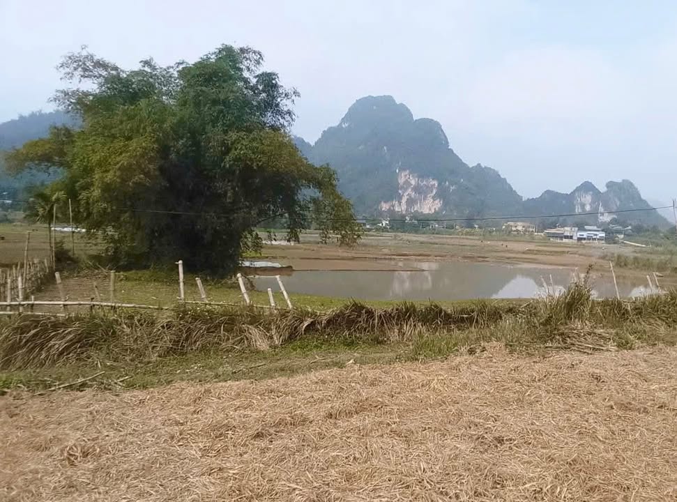 Đất vườn Kim Bôi 2039m² giá chỉ 100 triệu - Đầu tư sinh lời vượt trội!