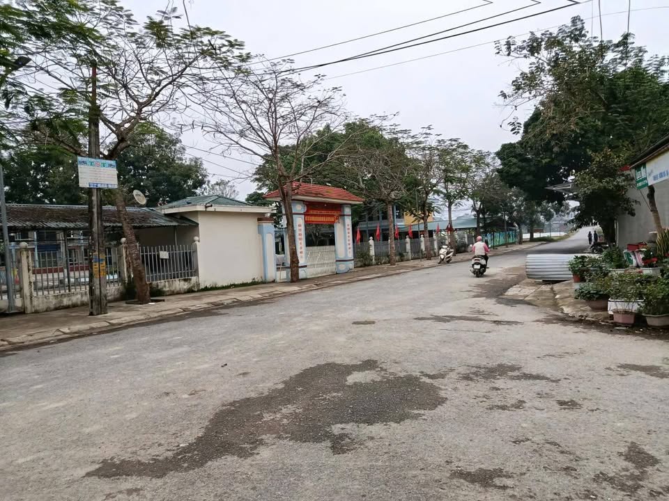 Đất nền chính chủ Thôn 3, Xã Thọ Thanh, 175m² giá chỉ 500 triệu - Cơ hội đầu tư tuyệt vời!