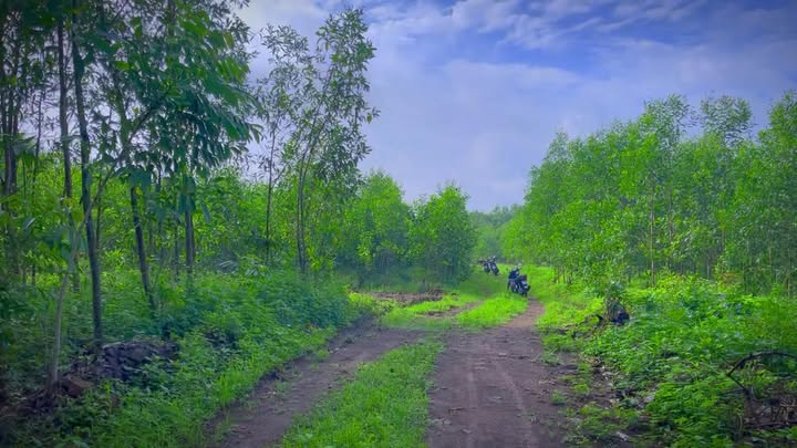 Đất nền 600m² Xã Xuân Thọ, Huyện Xuân Lộc - Giá chỉ 2xx triệu - Cơ hội đầu tư hiếm có!