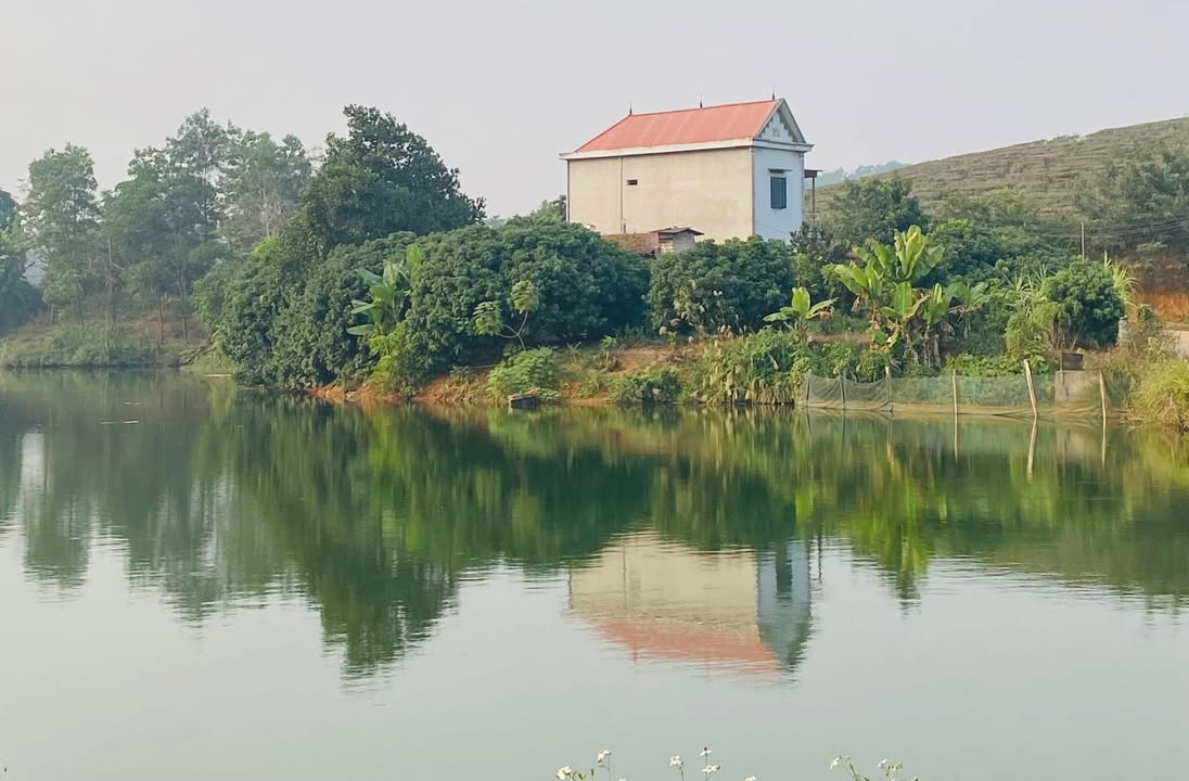 Farm 2 tầng Bình Xuyên 3.500m² giá thỏa thuận - View cánh đồng tuyệt đẹp!