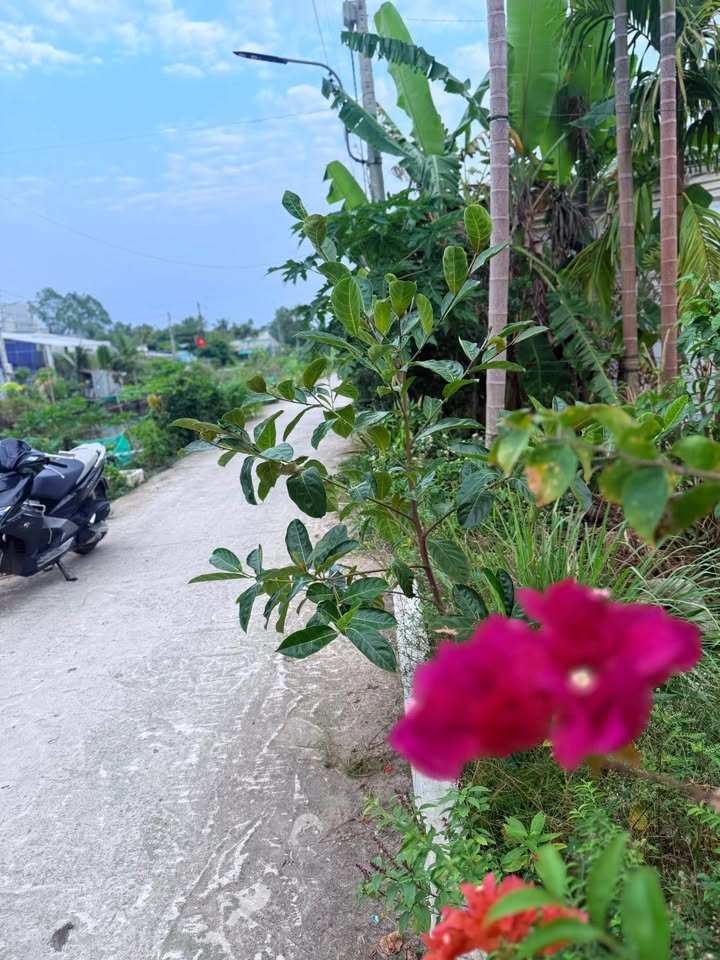 Đất nền thổ cư hẻm đường 1/5, Cần Thơ 290m² giá chỉ 1.9 tỷ - Cơ hội đầu tư tuyệt vời!