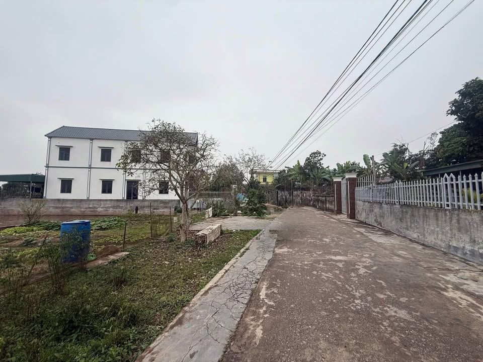 Đất nền Phú Châu, Đông Hưng, Thái Bình 203,8m² giá chỉ 1 tỷ - Sổ đỏ riêng, giao dịch ngay!