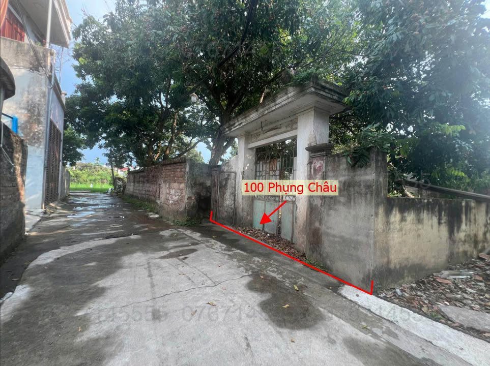 Đất thổ cư 100m² Phụng Châu - Kinh doanh sầm uất, giá 5 tỷ