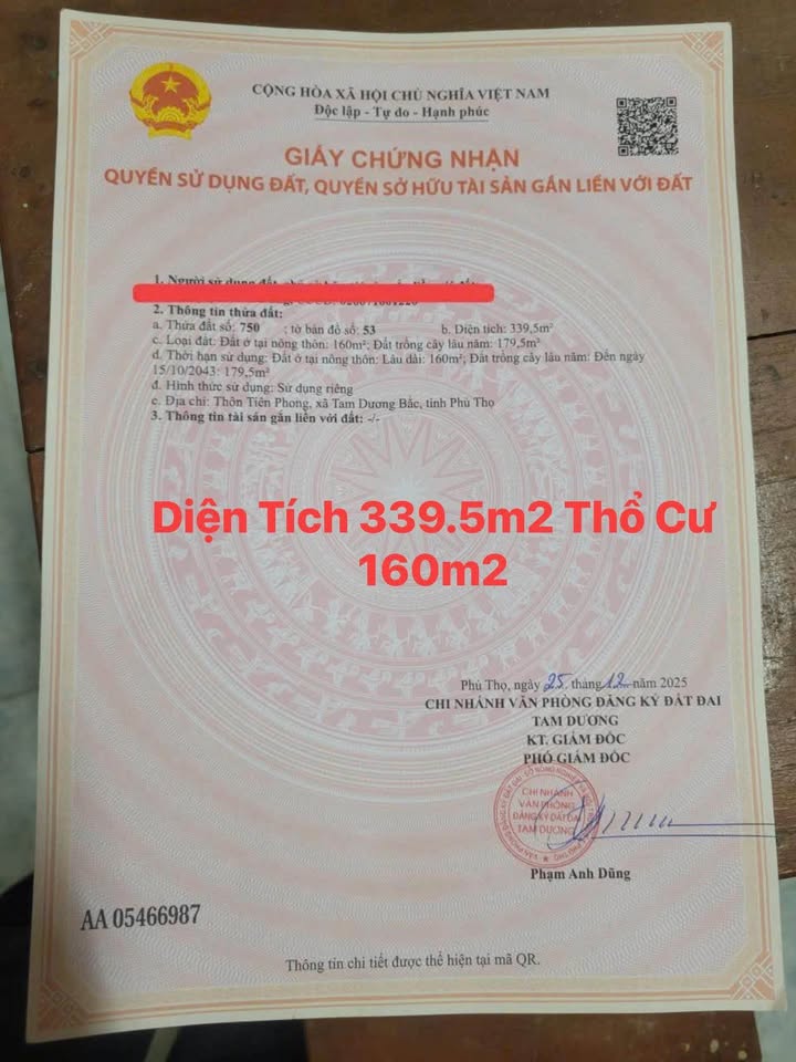 Đất nền góc Xã Đồng Tĩnh, Huyện Tam Dương, 340m² giá 1.8 tỷ - Cơ hội đầu tư tuyệt vời!