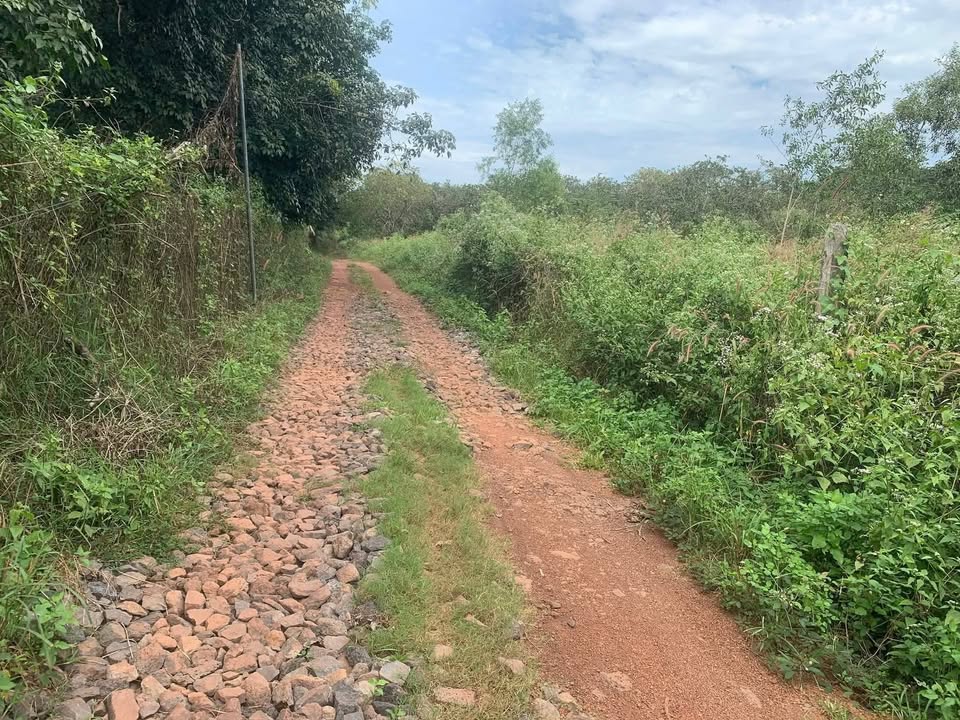 Đất nền 1 sào Phú Túc, Định Quán giá chỉ 600 triệu - Cơ hội đầu tư hấp dẫn!