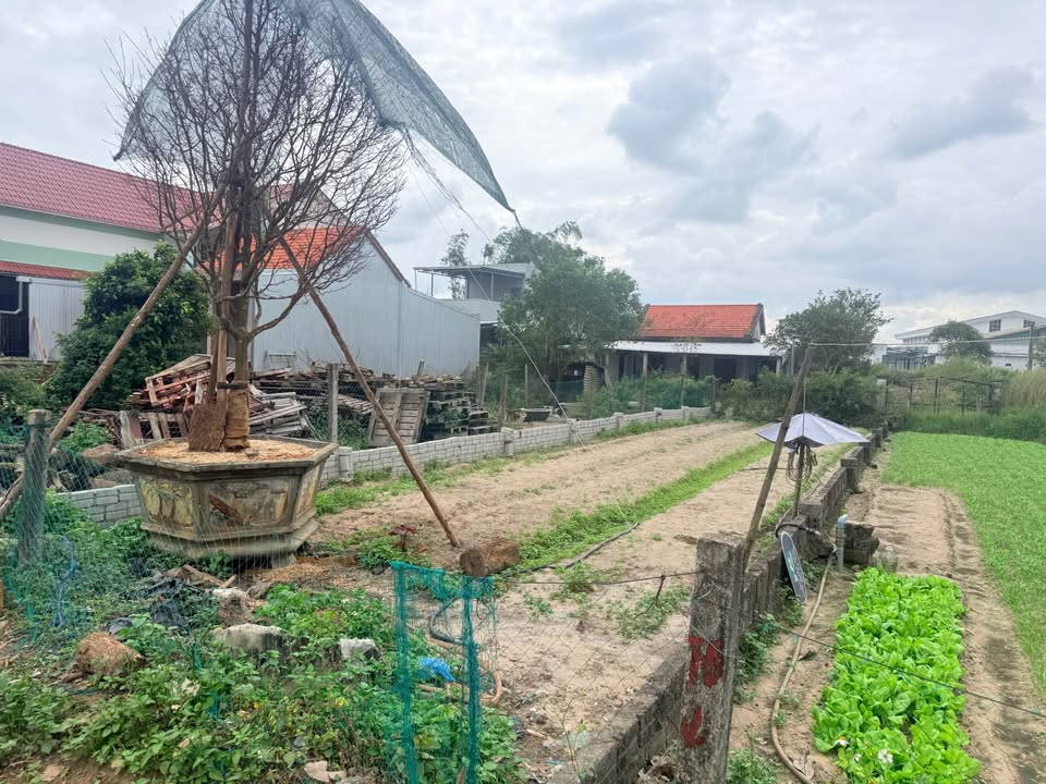 Đất nền Điện Nam Bắc 153m² giá 2.5 tỷ - Vị trí đẹp, đầu tư sinh lời!