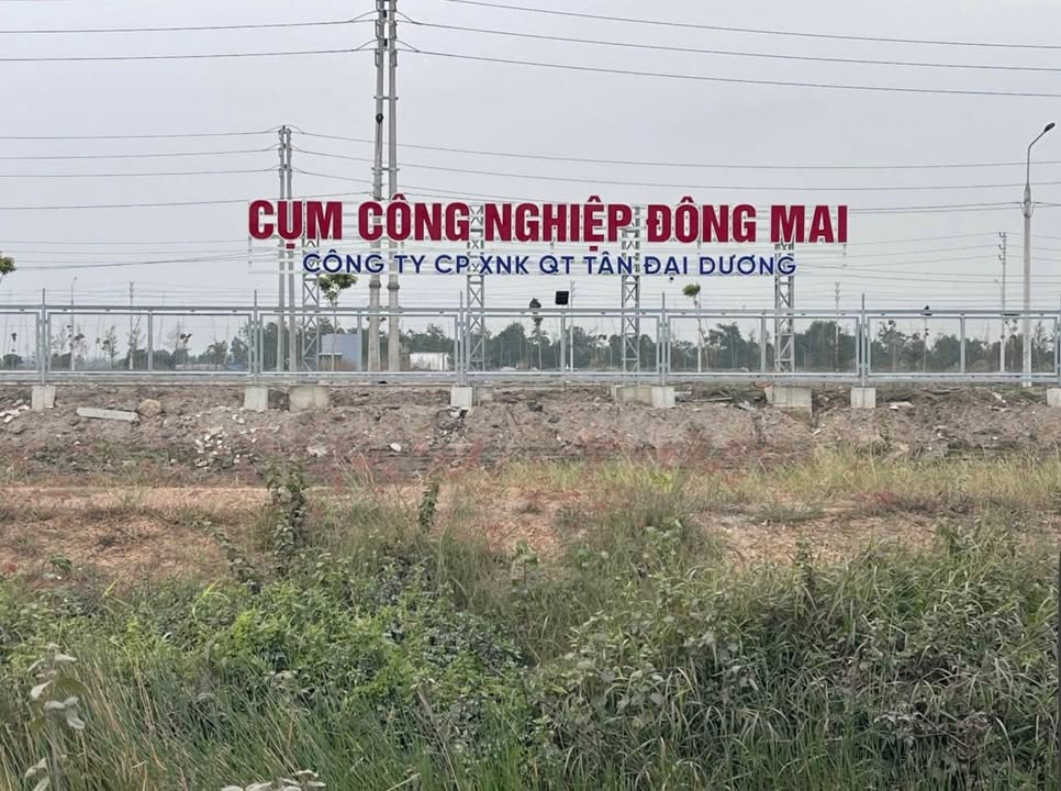 Đất nền Phường Đông Mai, Thị xã Quảng Yên, 100m² - Đầu tư lý tưởng giá rẻ!