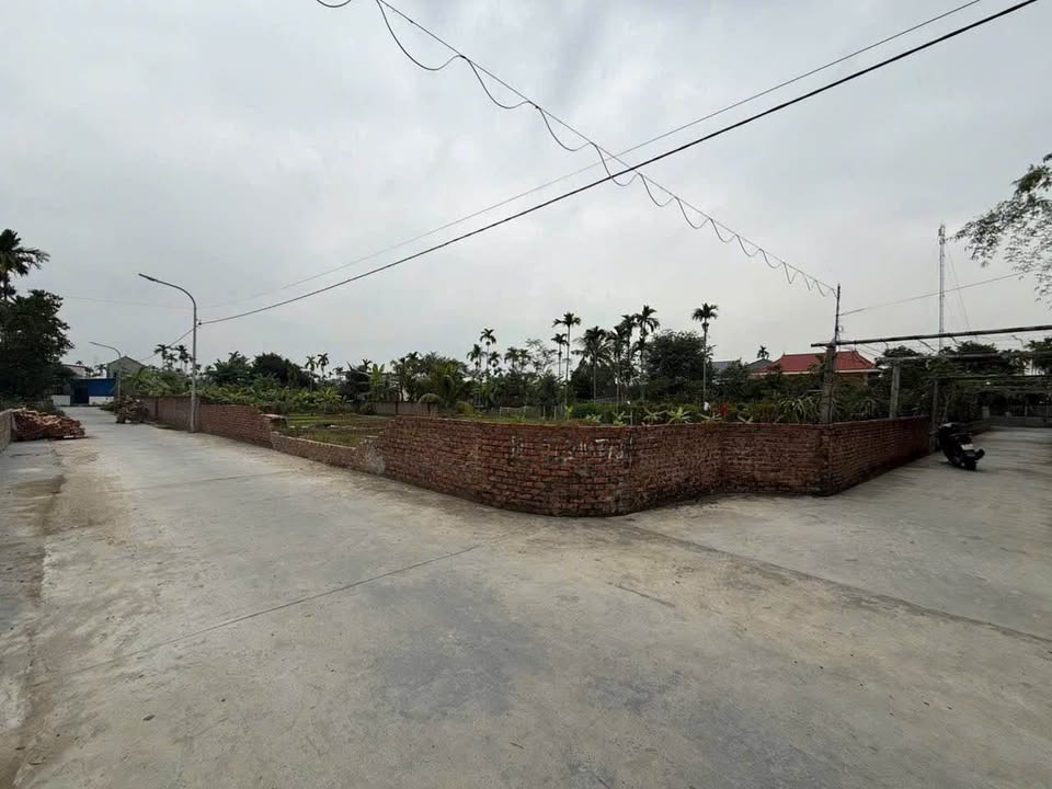 Đất nền lô góc Quốc Tuấn, An Dương 500m² - Đầu tư sinh lời ngay!