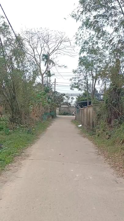 Đất nền Tân Thủy, Lệ Thủy, Quảng Bình 224m² - Gần chợ, thuận tiện kinh doanh!