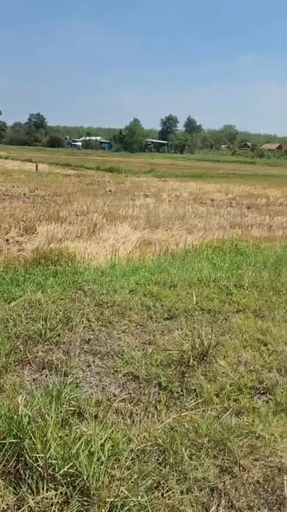 Đất nền An Nhơn Tây, Củ Chi 528m² giá 699 triệu - Cơ hội đầu tư hấp dẫn!