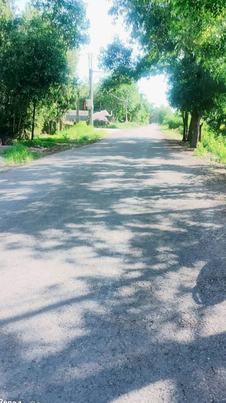 Đất nền mặt tiền Kênh Thị Đội, Sóc Trăng 300m² giá 4.4 tỷ - Đầu tư sinh lời ngay!