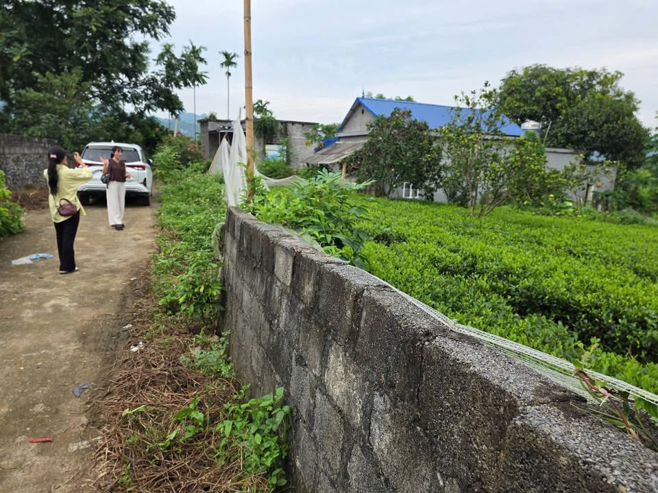 Lô đất Farm 1.037m² tại Lạc Thủy, Hòa Bình - Giá chỉ 3 tỷ - Sổ phân lô chính chủ!