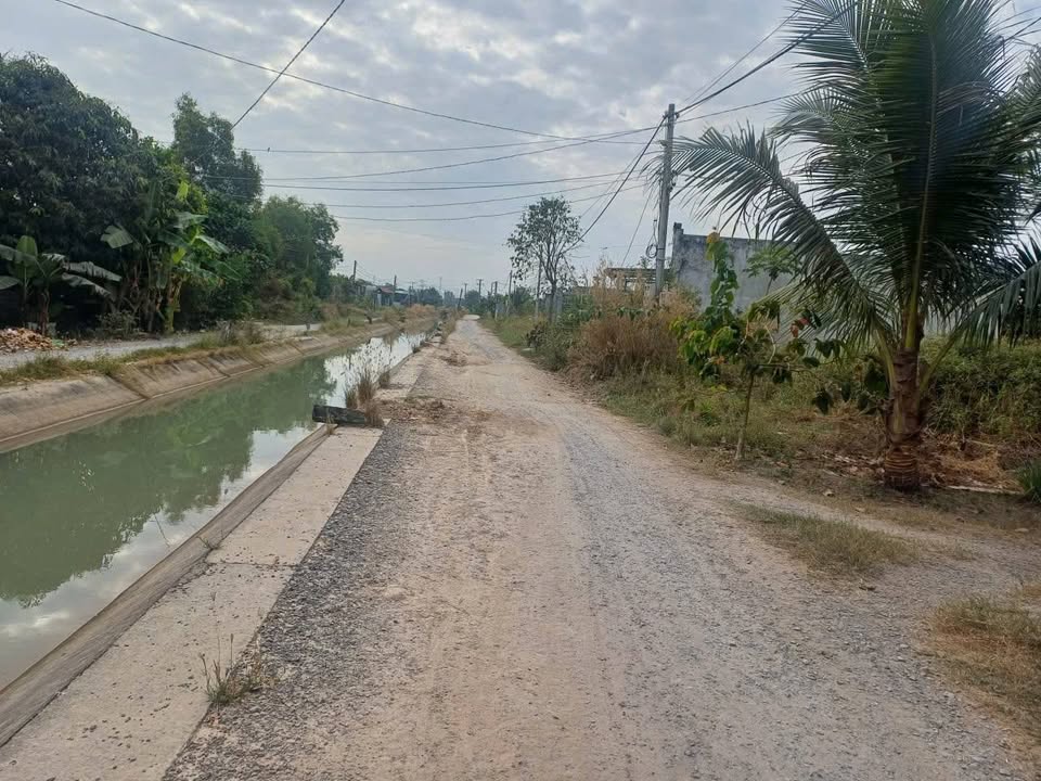 Nhà vườn Hòa Khánh Nam, Đức Hòa 437m² giá 1.7 tỷ - Cơ hội đầu tư không thể bỏ lỡ!