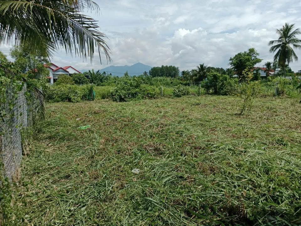 Đất nền Diên Thọ 413.5m² giá 1.5 tỷ - Sổ đỏ chính chủ, vay ngân hàng được!