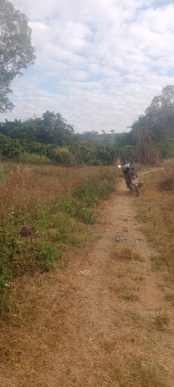 Đất nền Hòa Trung, Di Linh 720m² giá 750 triệu - Cơ hội đầu tư tuyệt vời!