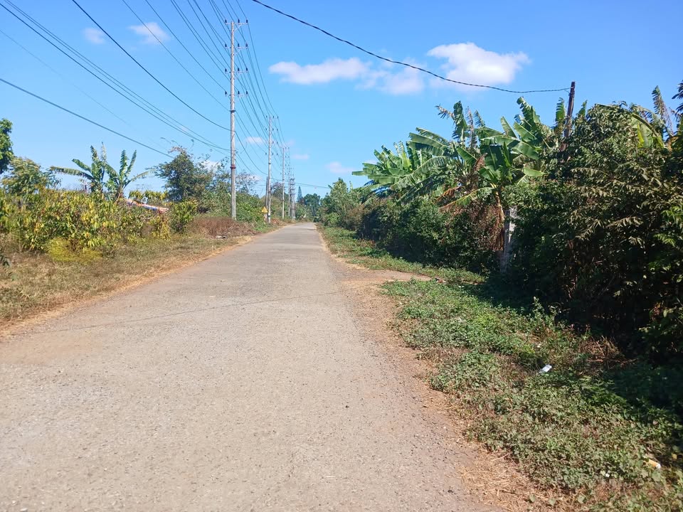 Đất nền 2 mặt tiền Đường Nguyễn Chí Thanh, Chư Sê 390m² giá 1.1 tỷ - Cơ hội đầu tư tuyệt vời!