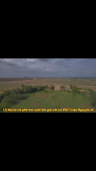 Farm 1,5 hecta tại xã Ia Kly, huyện Chư Prông, Gia Lai - Cơ hội đầu tư sinh lời!