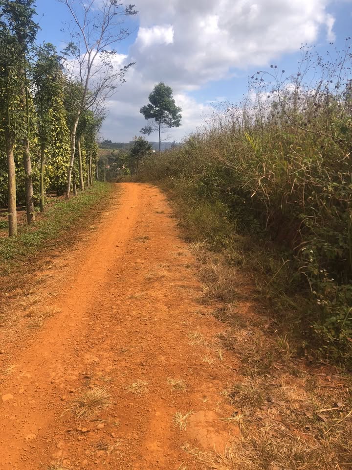 Đất nền thổ cư thôn 9, xã Nam Bình Cũ, 1150m² giá 700 triệu - Cơ hội đầu tư hiếm có!