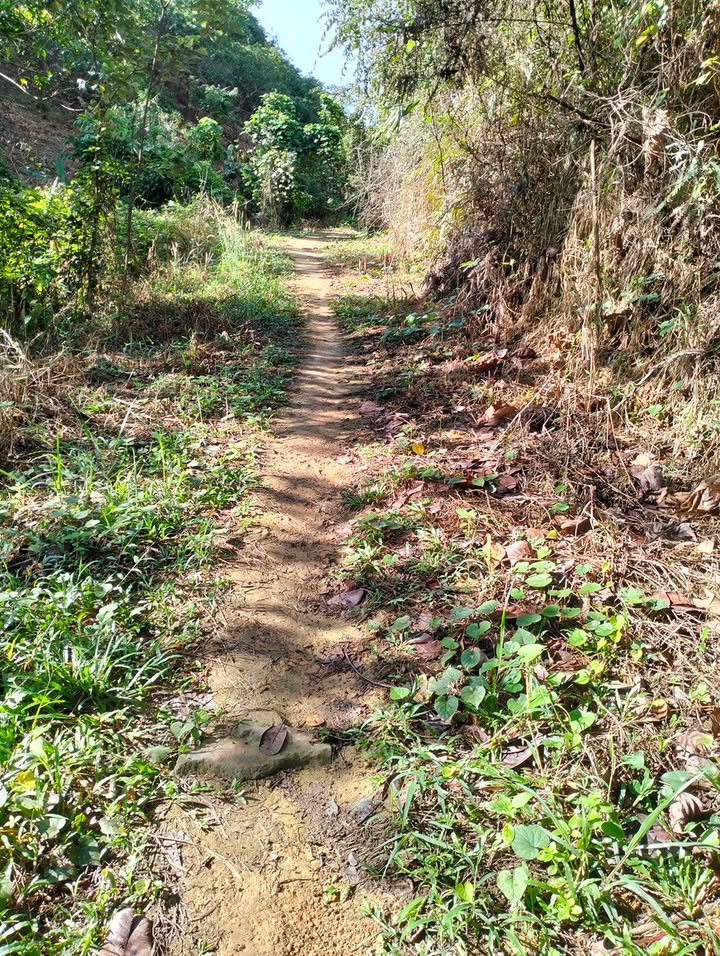 Đất nông nghiệp 2ha tại Mỹ Đức, Đạ Huoai - Giá chỉ 350 triệu!