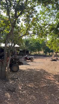 Đất nền 12.000m² tại xã Ea Lê, huyện Ea Súp - Giá chỉ 1 tỷ