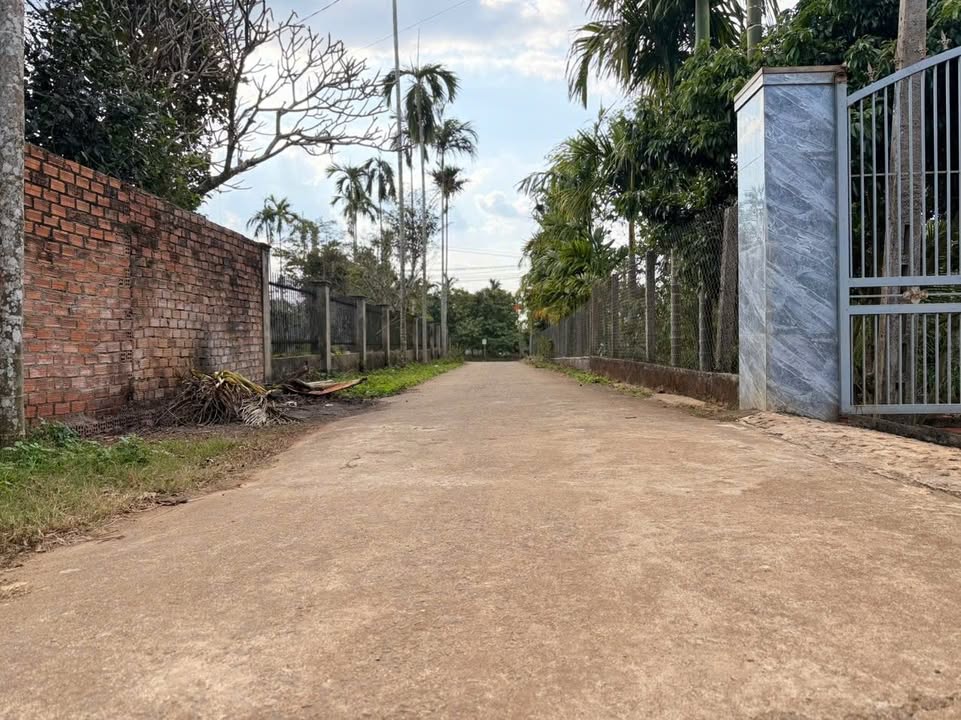 Đất nền chính chủ Phú Xuân 144m² giá 725 triệu - Đầu tư sinh lời ngay!