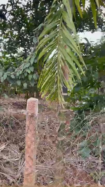 Đất thổ cư Phú Xuân 793m² giá 8 triệu/m² - Tiềm năng đầu tư hấp dẫn!