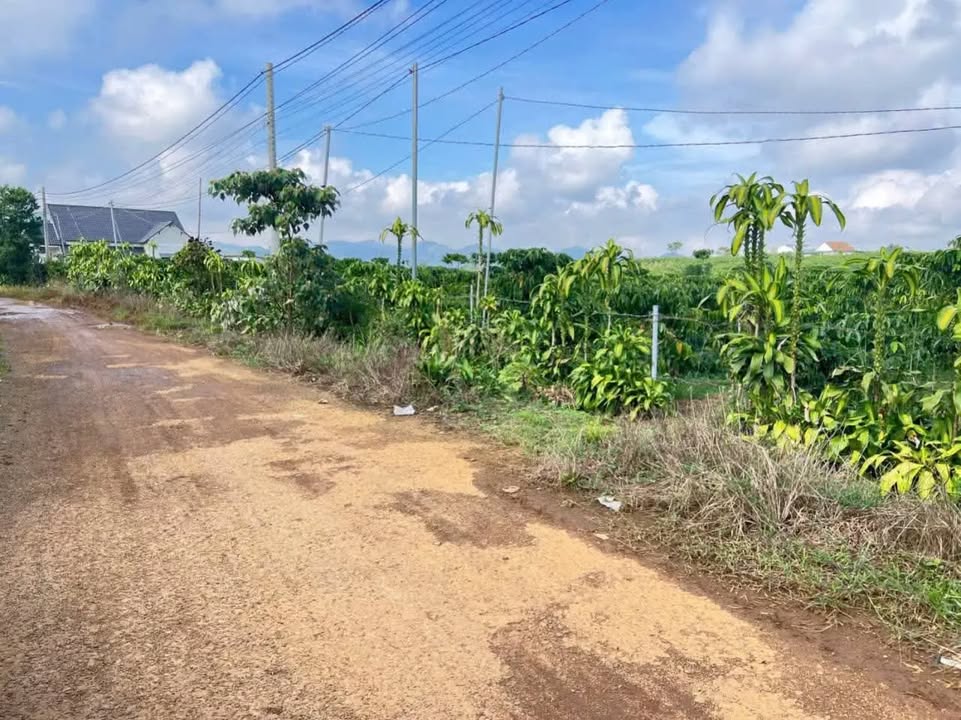 Đất thổ cư 500m² tại Lộc Tân - Giá chỉ 850 triệu, bớt lộc vui vẻ!